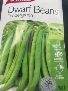 Dwarf Beans Tender Green