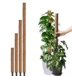 GreenCoir CocoCoir Pole - 90cm