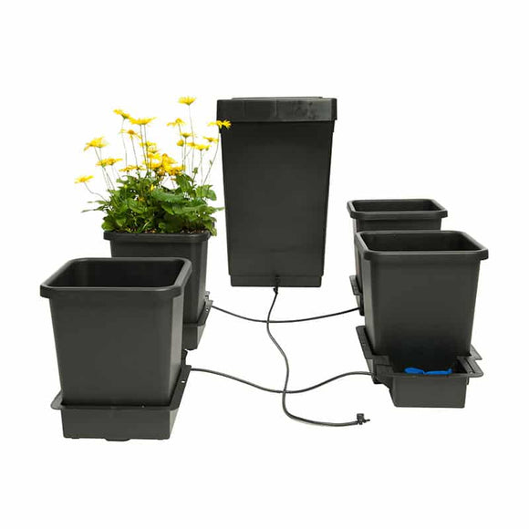 4 Auto Pot System