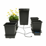 4 Auto Pot System