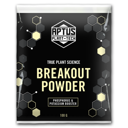 Aptus Breakout Powder 100g